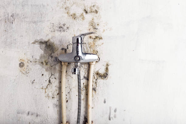 Best Residential Mold Removal  in Fresno, CA