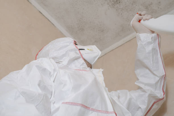 Best Attic Mold Removal  in Fresno, CA