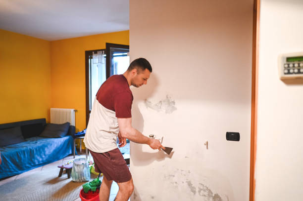 Best Emergency Mold Removal  in Fresno, CA